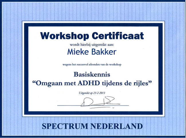 Certificaat Autisme-rijles
